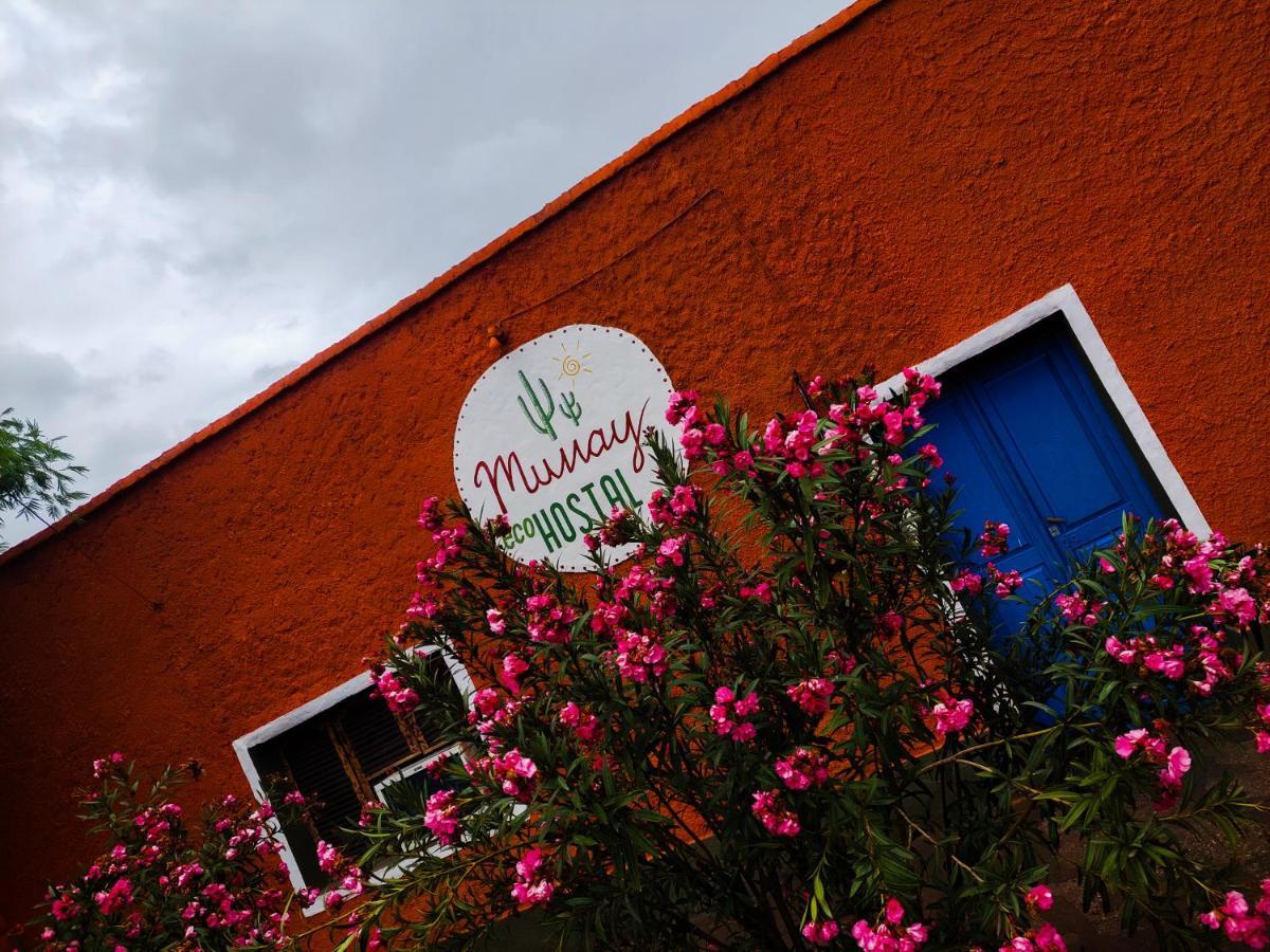 Munay Ecohostal - Cabanas De Adobe Тиногаста Экстерьер фото