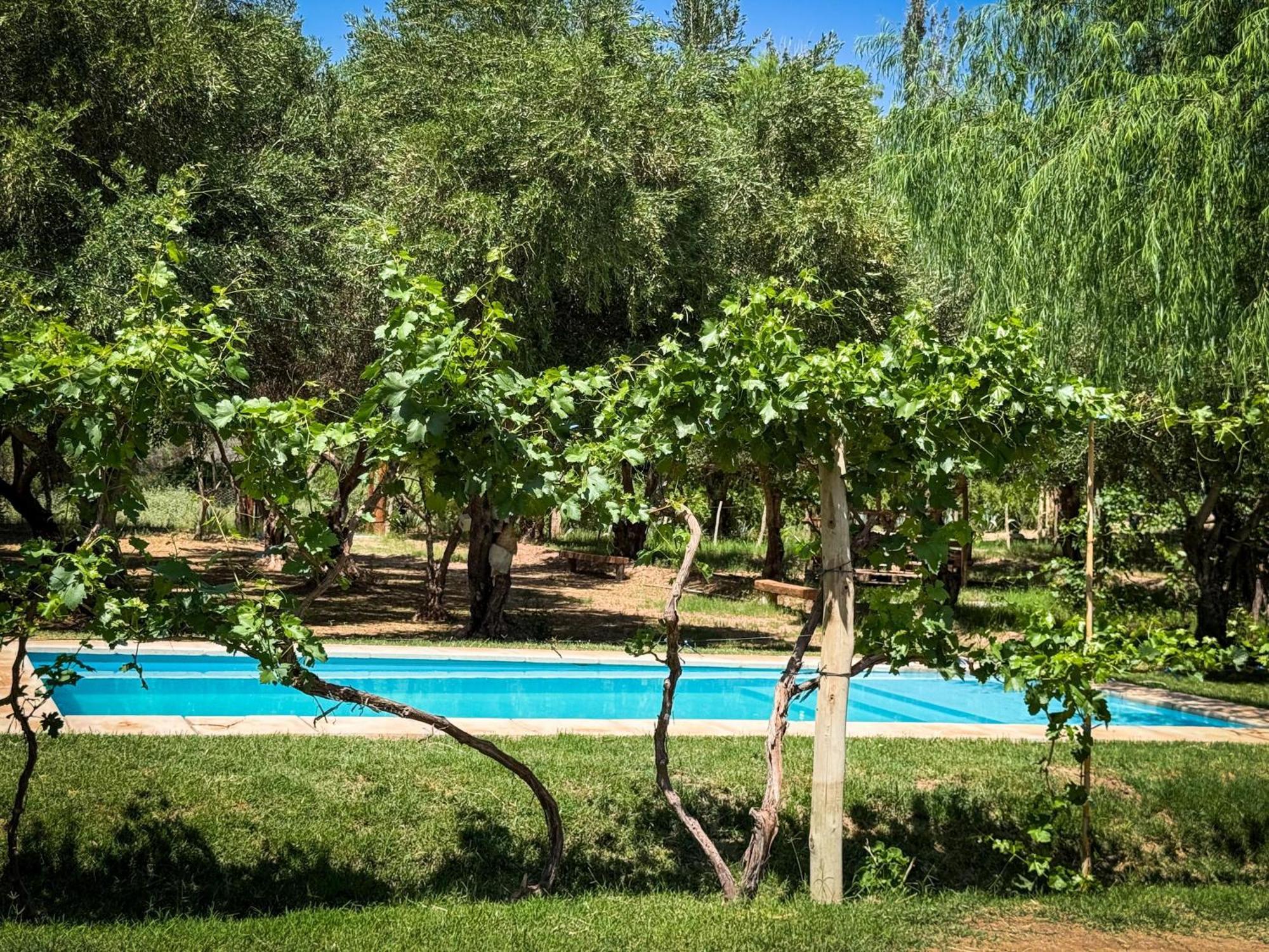 Munay Ecohostal - Cabanas De Adobe Тиногаста Экстерьер фото